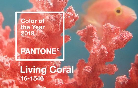 Pantone Living Coral color of the year 2019